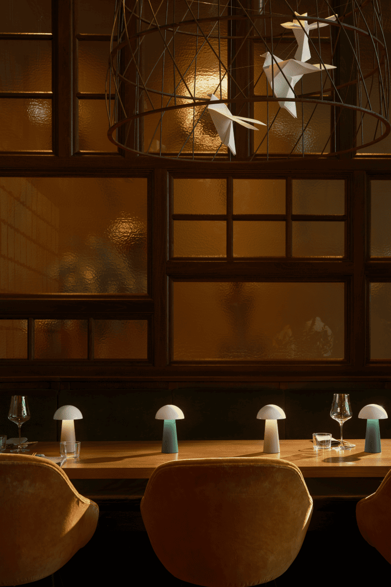 以溫柔光影，點亮每一個生活片刻